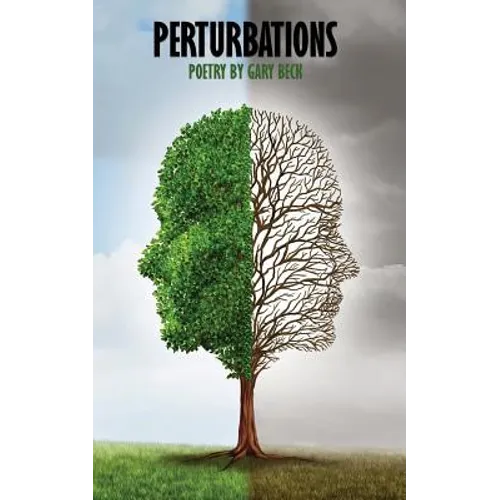 Perturbations - Paperback