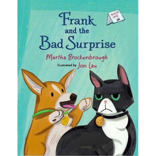 Frank and the Bad Surprise: Book 1 - Paperback