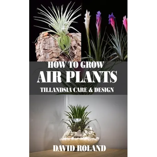 How to Grow Air Plants: Tillandsia Care and Design - Paperback