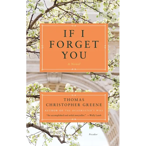 If I Forget You - Paperback