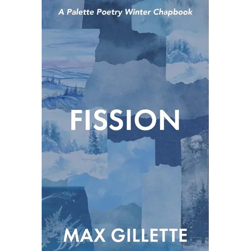Fission - Paperback
