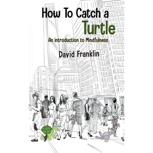 How to Catch a Turtle: An Introduction to Mindfulness - Paperback