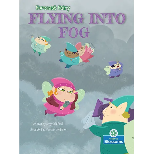 Flying Into Fog - Paperback