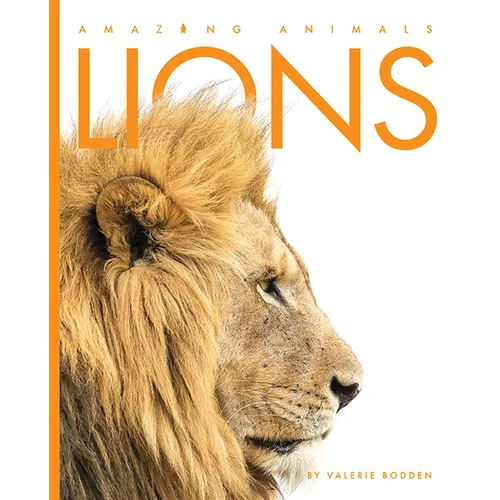 Lions - Paperback
