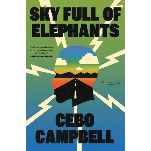 Sky Full of Elephants - Hardcover