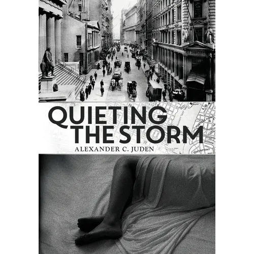 Quieting the Storm - Hardcover
