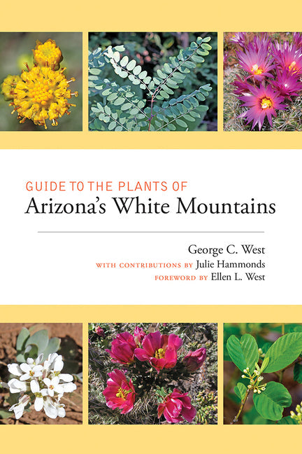 Guide to the Plants of Arizona's White Mountains - Paperback