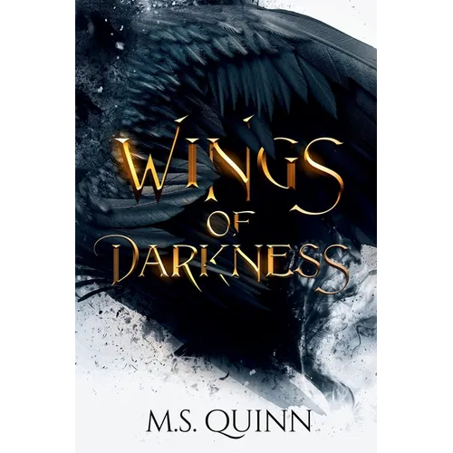 Wings of Darkness: A Dark Romantasy (Book 2) - Paperback