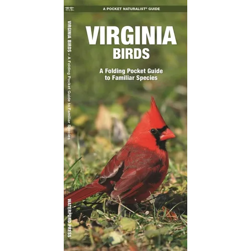 Virginia Birds: A Folding Pocket Guide to Familiar Species - Paperback