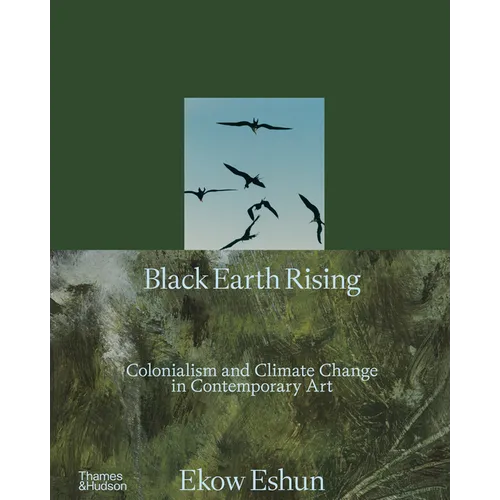 Black Earth Rising: Colonialism and Climate Change in Contemporary Art - Hardcover