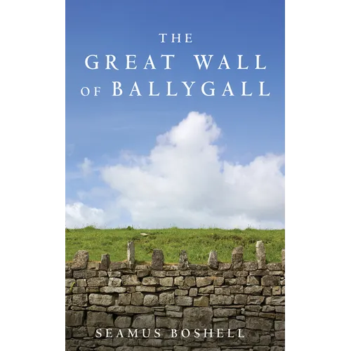The Great Wall of Ballygall - Hardcover