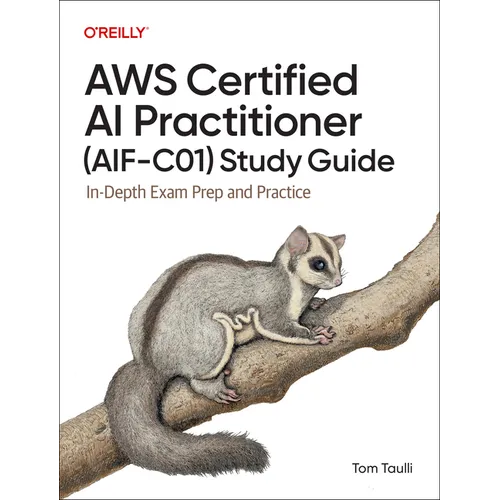 AWS Certified AI Practitioner (Aif-C01) Study Guide: In-Depth Exam Prep and Practice - Paperback