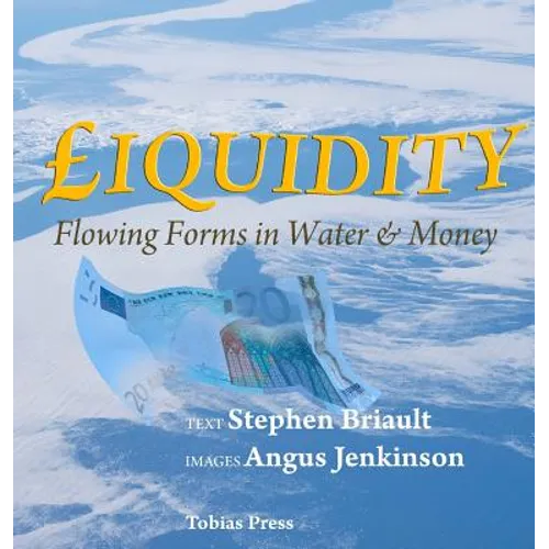 Liquidity: Flowing Forms in Water and Money - Hardcover