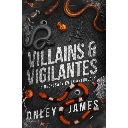 Villains & Vigilantes: A Necessary Evils Anthology - Hardcover