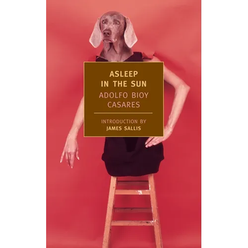 Asleep in the Sun - Paperback
