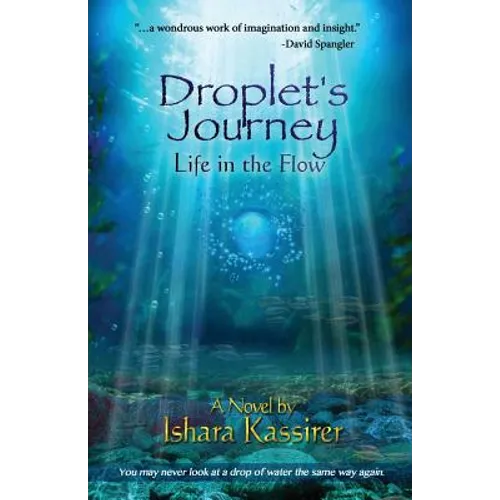 Droplet's Journey: Life in the Flow - Paperback