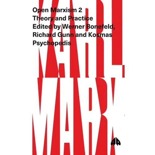 Open Marxism 2: Theory and Practice - Hardcover