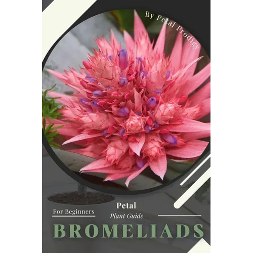Bromeliads: Prodigy Petal, Plant Guide