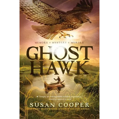 Ghost Hawk - Paperback