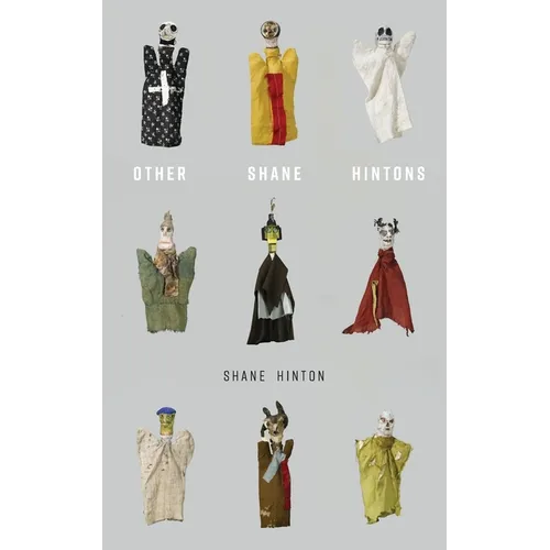 Other Shane Hintons - Paperback