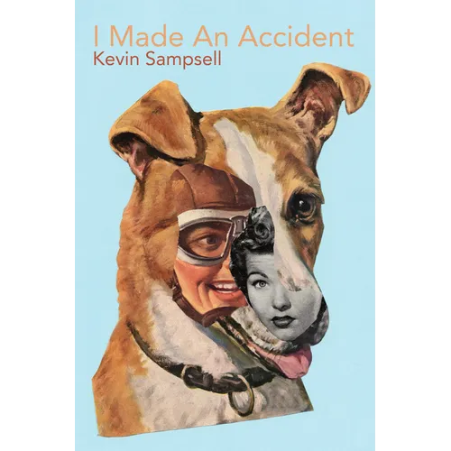I Made an Accident - Paperback