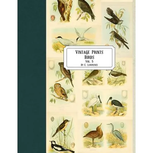 Vintage Prints: Birds: Vol. 5 - Paperback