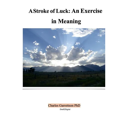 A Stroke of Luck: An Exercise in Meaning - Paperback