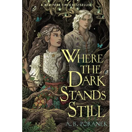 Where the Dark Stands Still - Paperback
