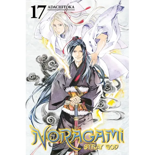 Noragami: Stray God, Volume 17 - Paperback