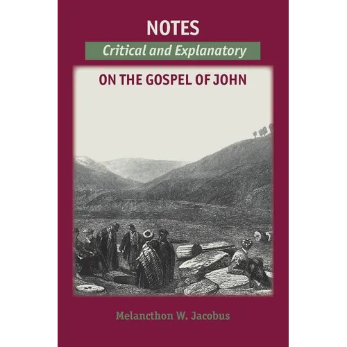 Notes on the Gospels: Critical and Explanatory on John - Paperback