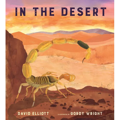 In the Desert - Hardcover
