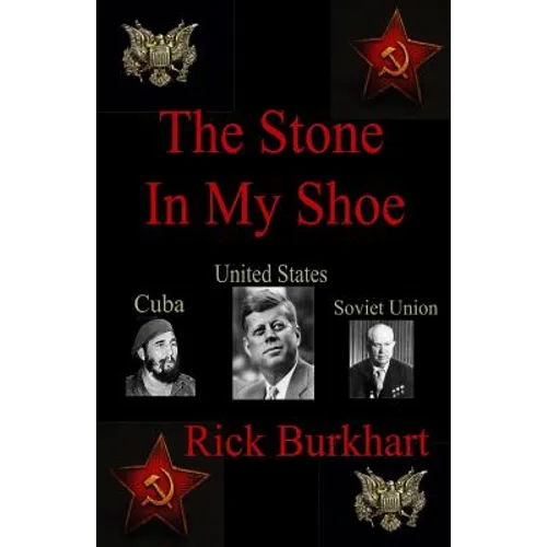 The Stone In My Shoe - Paperback