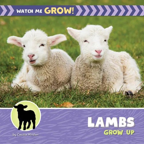 Lambs Grow Up - Library Binding