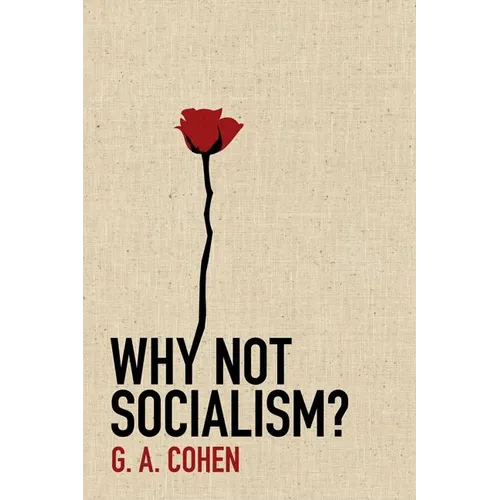 Why Not Socialism? - Hardcover