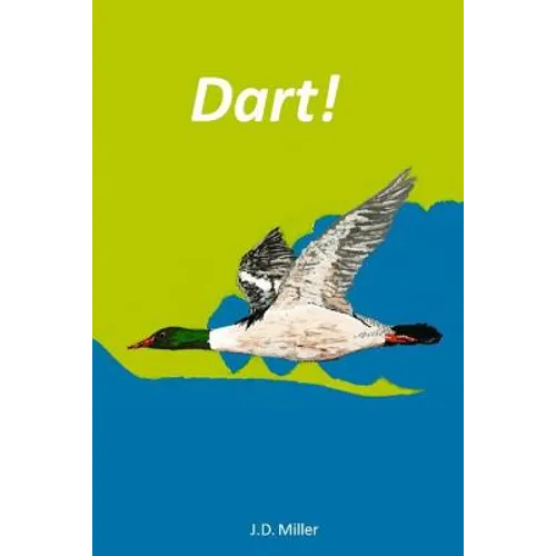 Dart! - Paperback