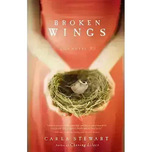 Broken Wings - Paperback