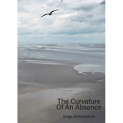 The Curvature of An Absence - Paperback