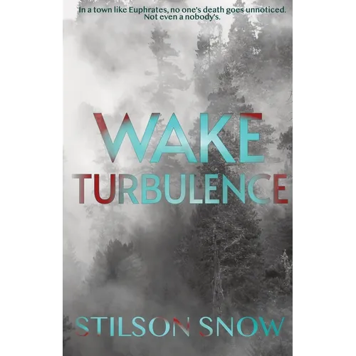 Wake Turbulence - Paperback