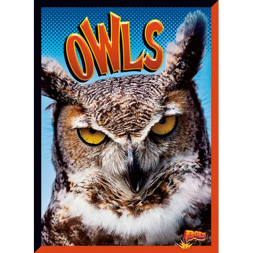 Owls - Library Binding