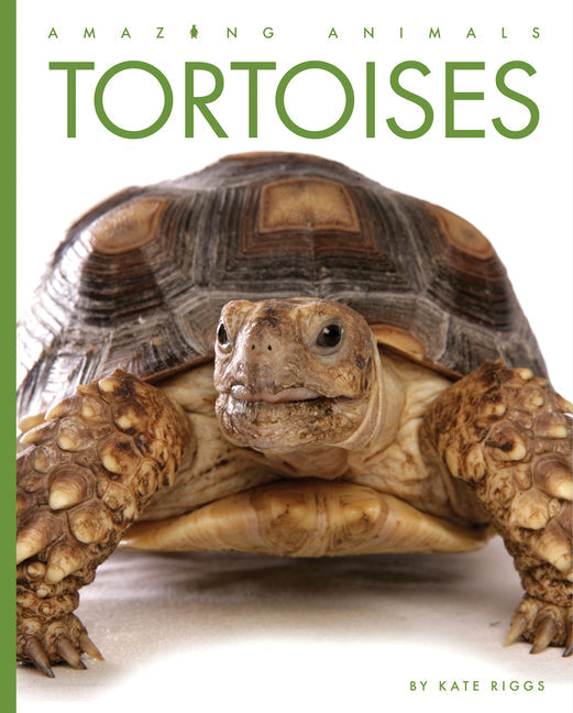 Tortoises - Paperback