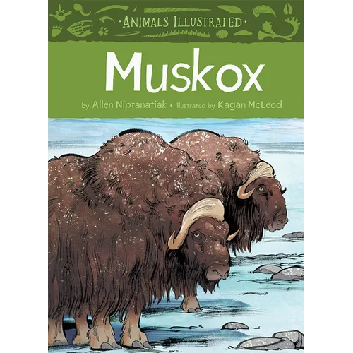 Animals Illustrated: Muskox - Hardcover