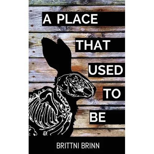 A Place That Used to Be - Paperback