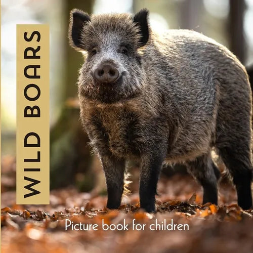 Wild Boars: Picture book for children - Paperback