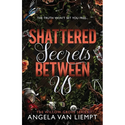 Shattered Secrets Between Us - Paperback