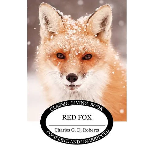 Red Fox - Paperback