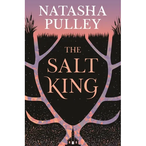 The Salt King - Hardcover
