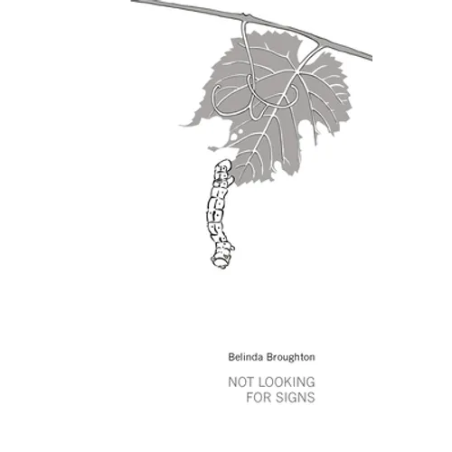 Not Looking For Signs - Paperback