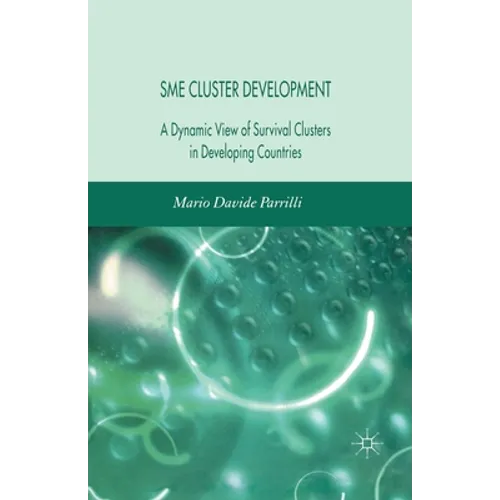 Sme Cluster Development: A Dynamic View of Survival Clusters in Developing Countries - Paperback
