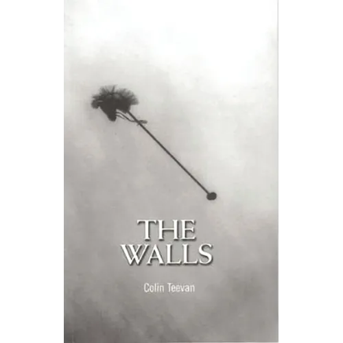 The Walls - Paperback