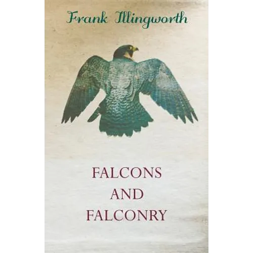 Falcons and Falconry - Paperback